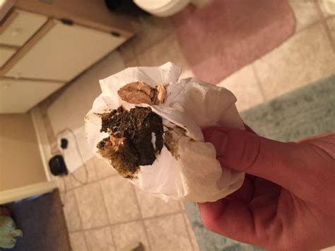 The longer it sits, the worse poop smells. . Does kratom make your poop smell weird